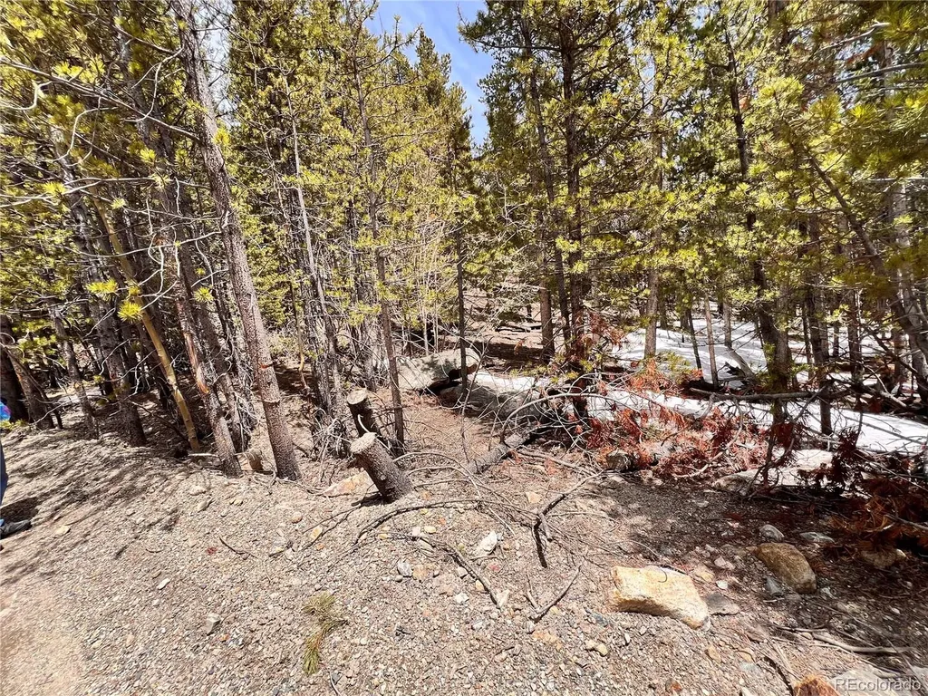 000 Loch Lomond Rd & Vista Road Idaho Springs CO 80452