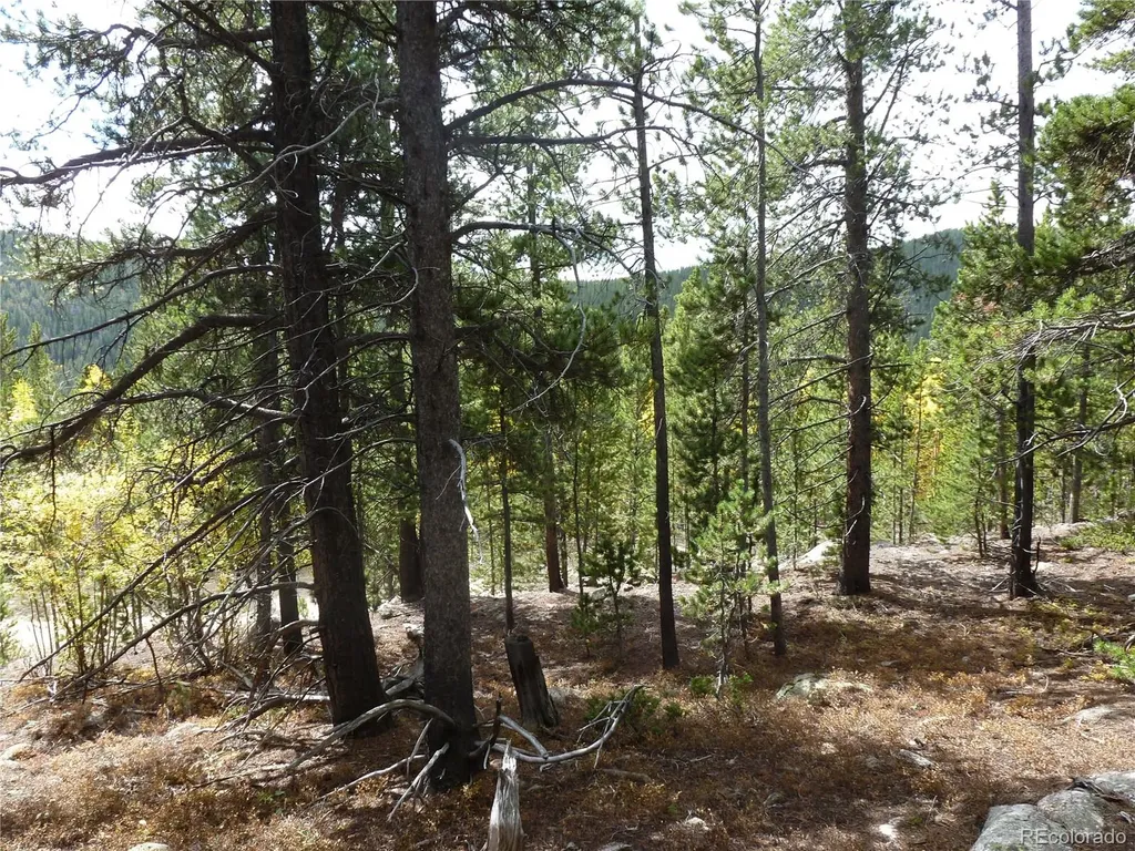 000 Loch Lomond Rd & Vista Road Idaho Springs CO 80452