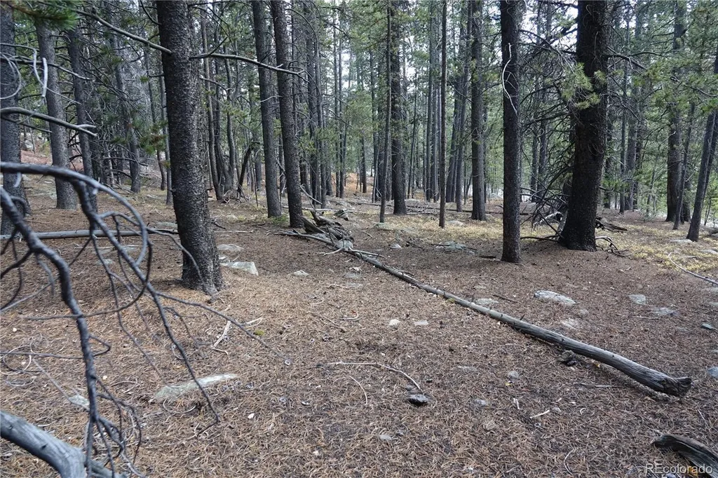 000 Loch Lomond Rd & Vista Road Idaho Springs CO 80452