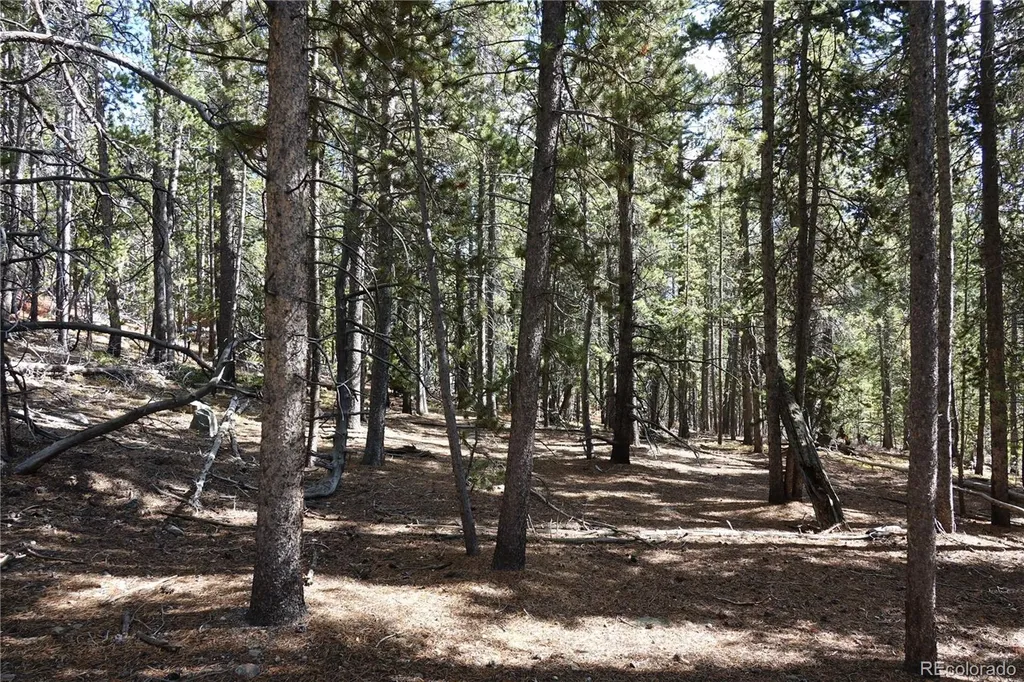 000 Loch Lomond Rd & Vista Road Idaho Springs CO 80452
