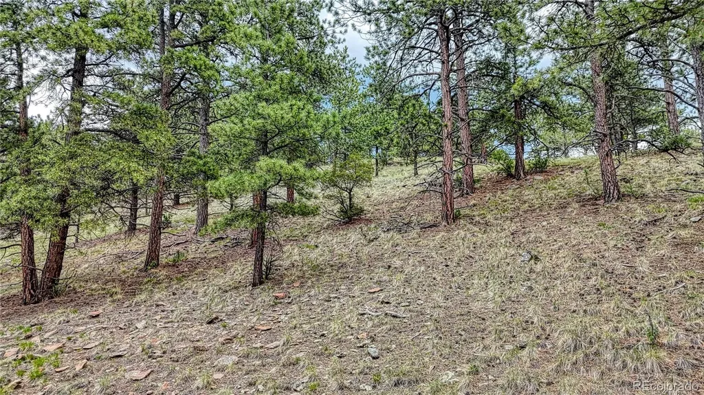 44 Honeysuckle Terrace Westcliffe CO 81252