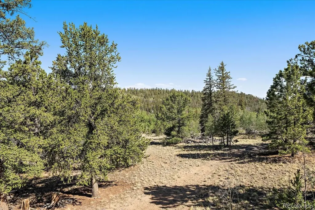 1720 Ute Trail Como CO 80432