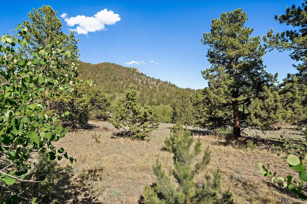 1720 Ute Trail Como CO 80432