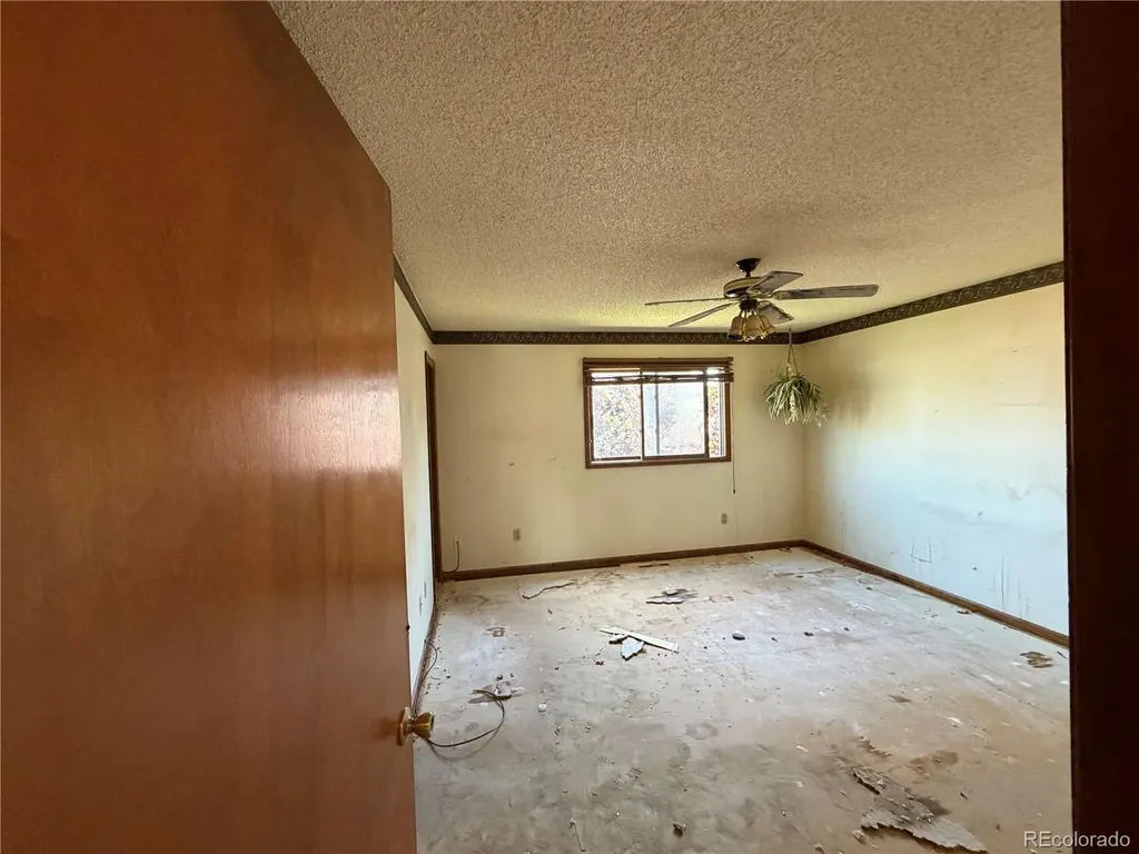 1674 Saulsbury Court Loveland CO 80538