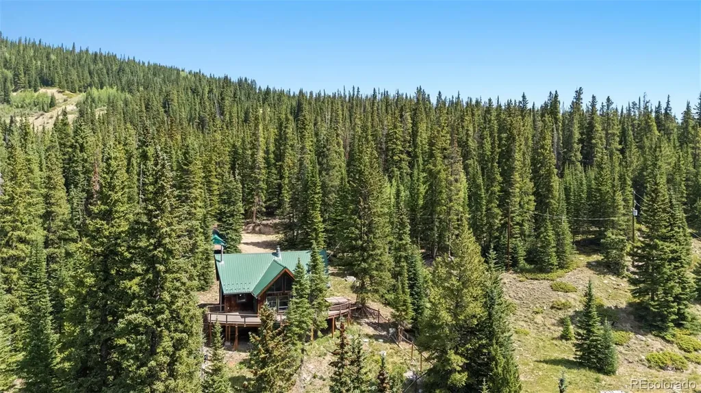 321 Monte Cristo Mine Road Breckenridge CO 80424