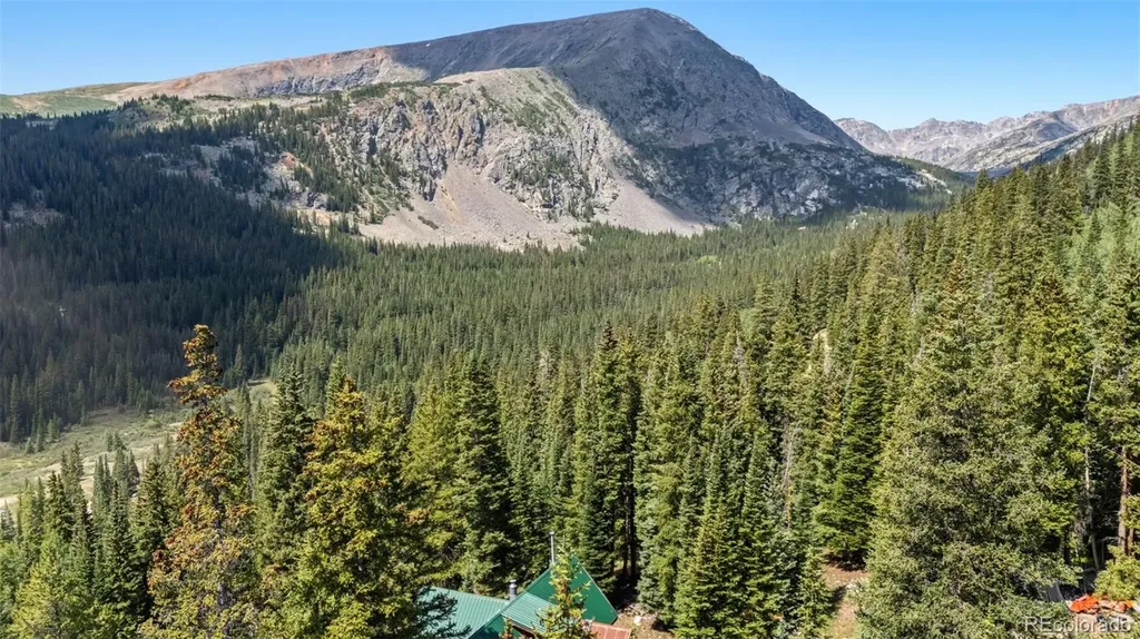 321 Monte Cristo Mine Road Breckenridge CO 80424