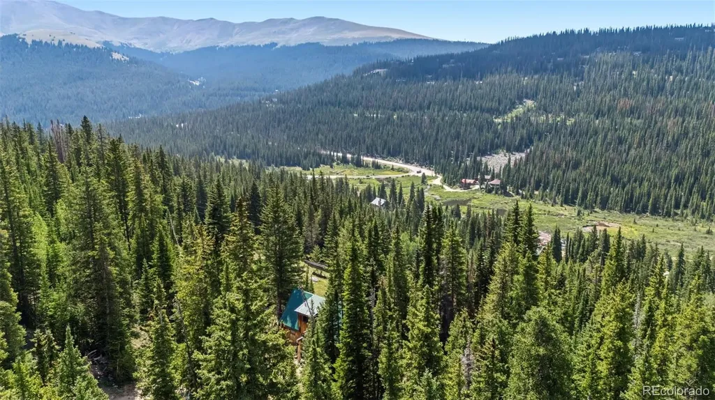 321 Monte Cristo Mine Road Breckenridge CO 80424