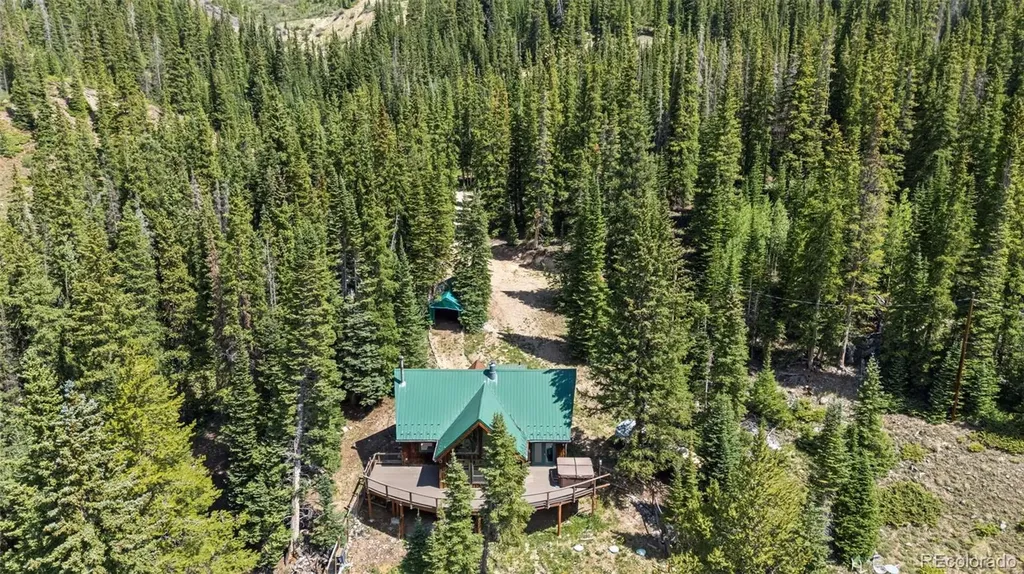 321 Monte Cristo Mine Road Breckenridge CO 80424