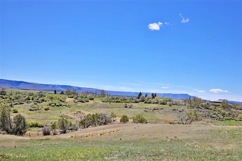 58798 Delores Drive Collbran CO 81624