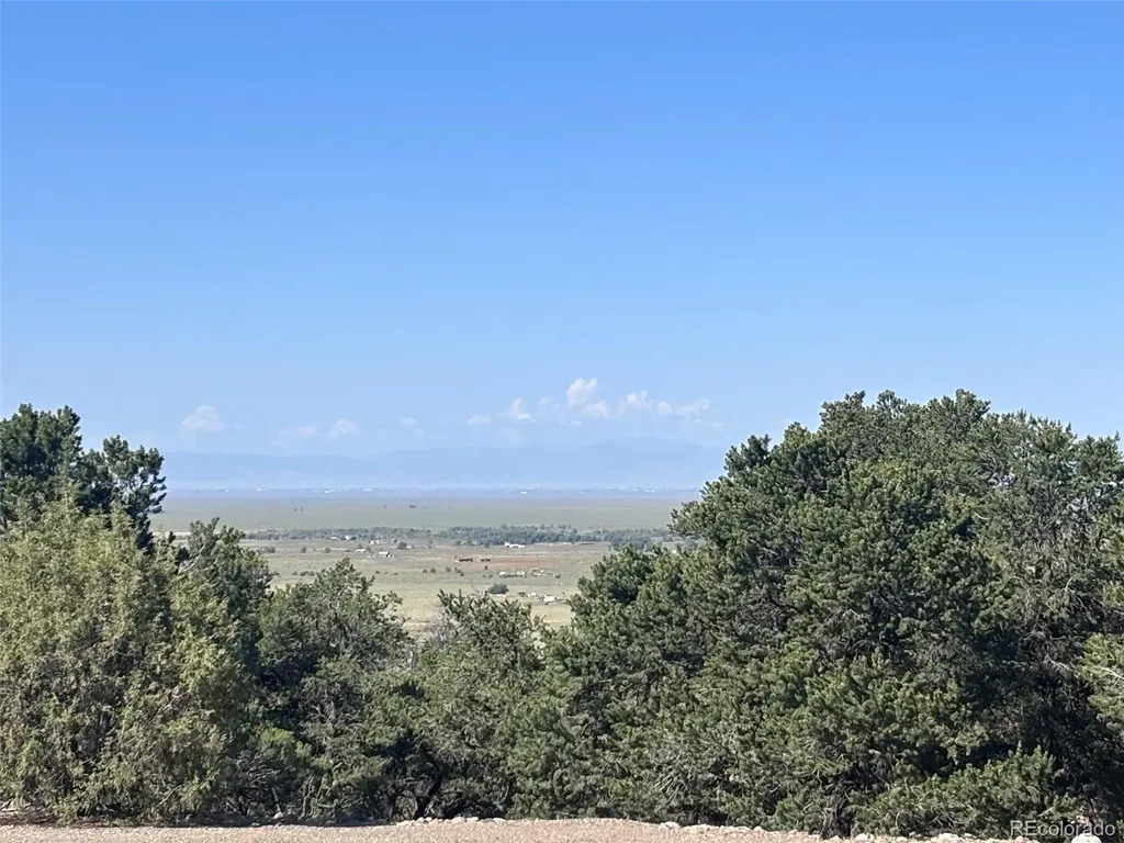 2695C Easy Way Crestone CO 81131