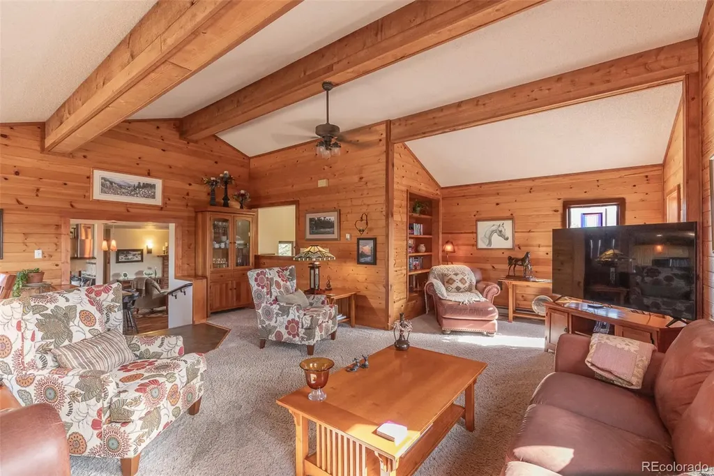 29255 Pinon Circle Buena Vista CO 81211