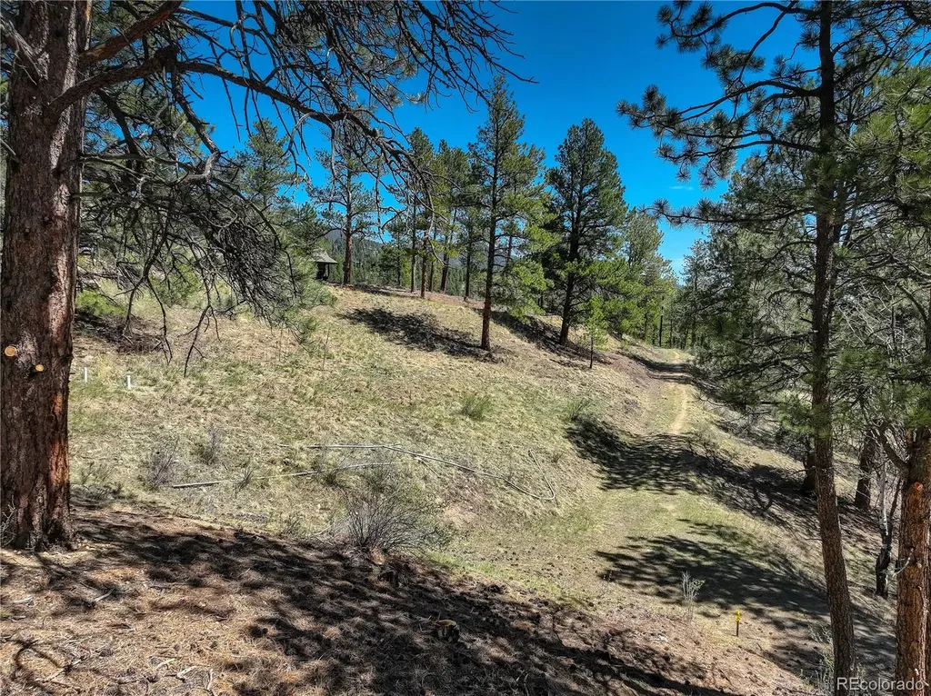 000 Hayden Ridge Road Evergreen CO 80439