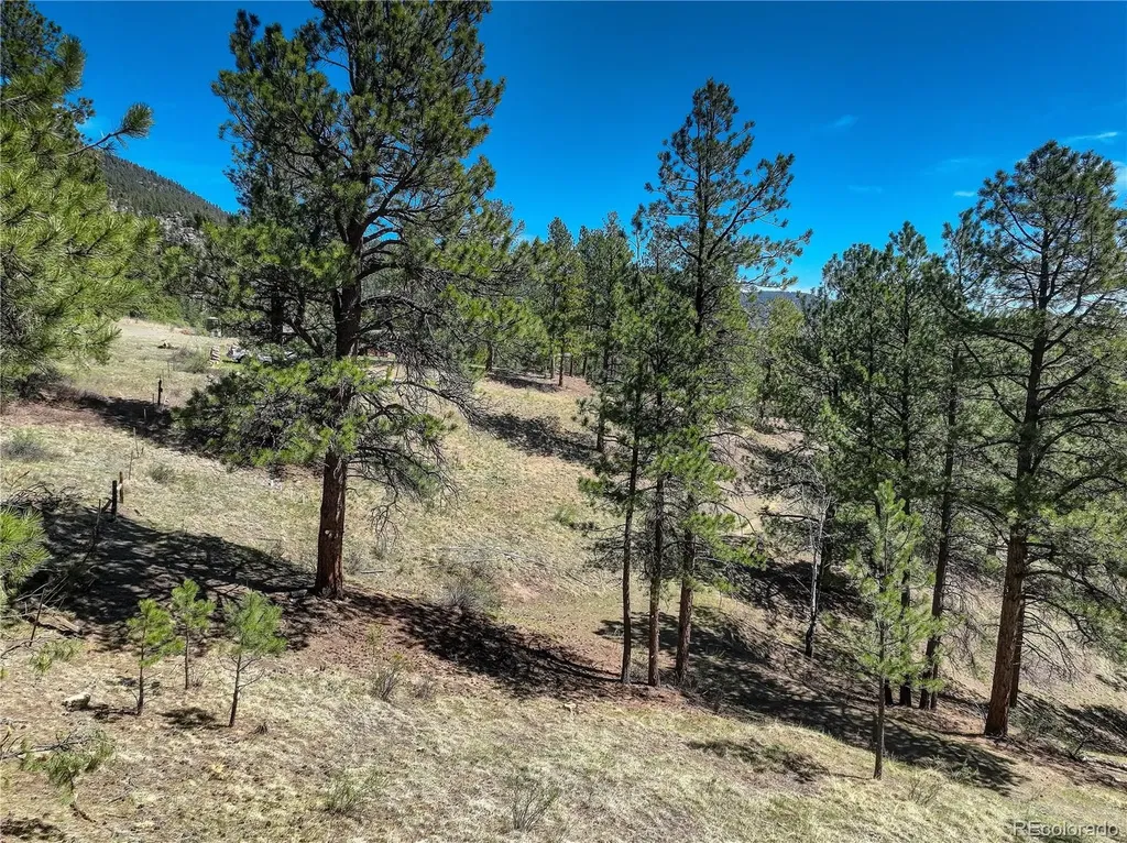 000 Hayden Ridge Road Evergreen CO 80439