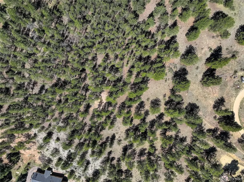000 Hayden Ridge Road Evergreen CO 80439