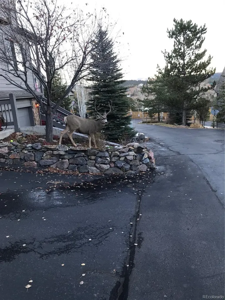 3667 Joyful Way Evergreen CO 80439