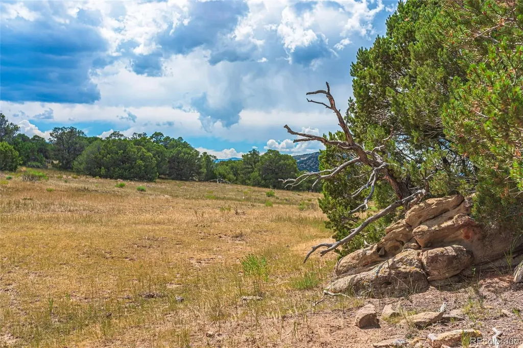 County Road 521 Walsenburg CO 81089