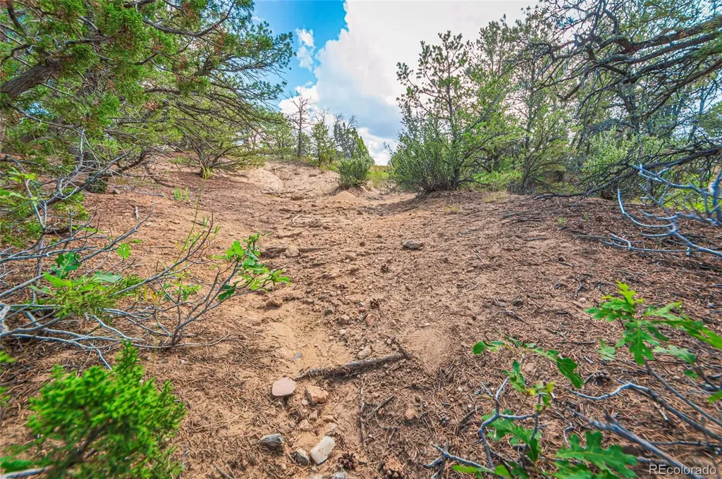 County Road 521 Walsenburg CO 81089