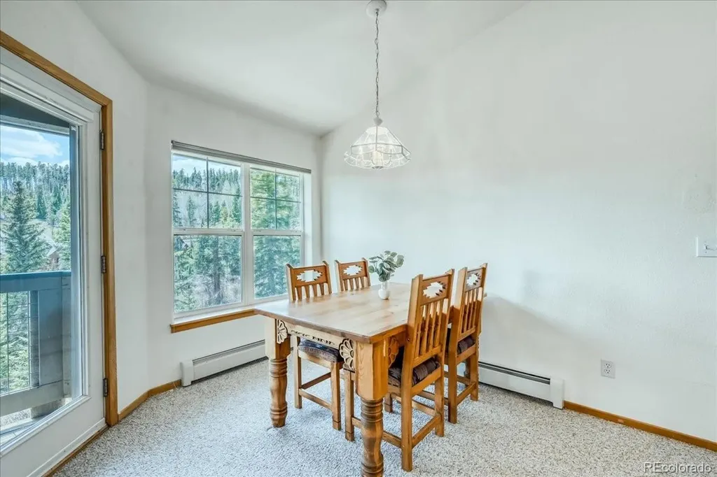 91399 Ryan Gulch Road Silverthorne CO 80498