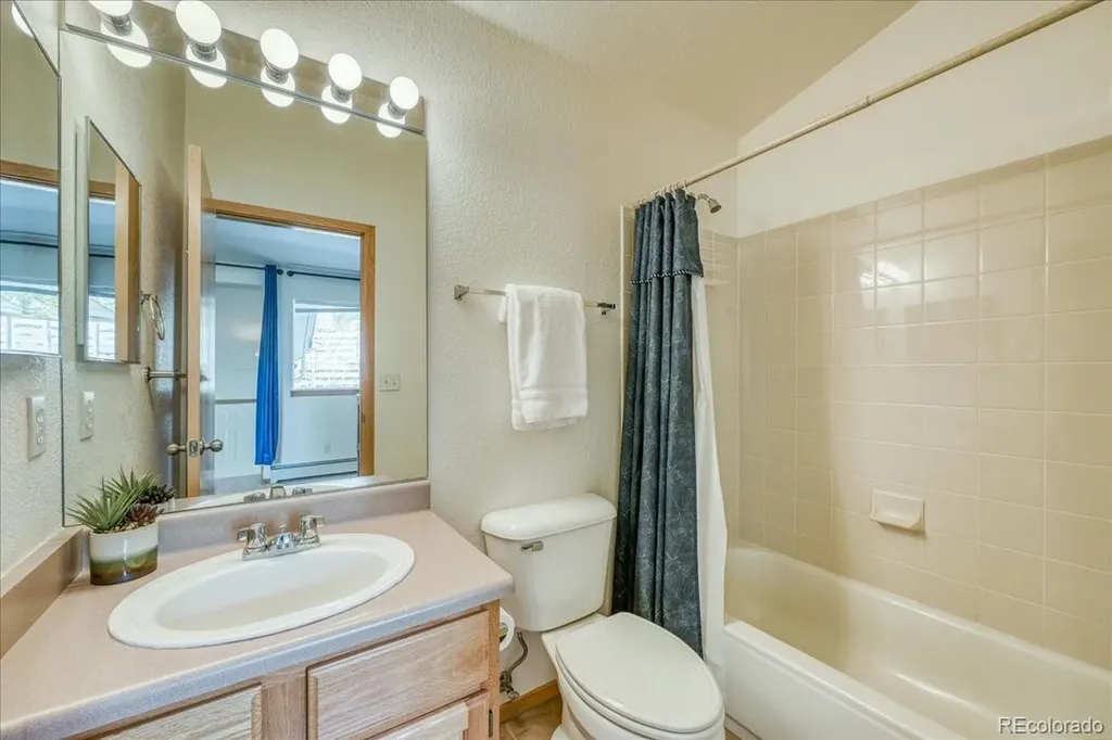 91399 Ryan Gulch Road Silverthorne CO 80498