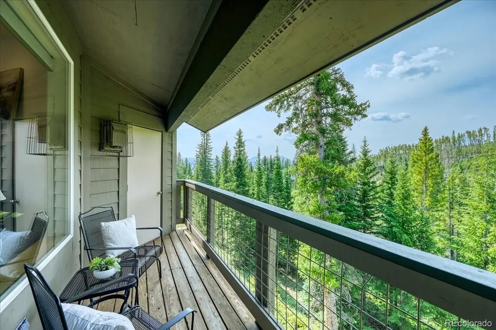 91399 Ryan Gulch Road Silverthorne CO 80498