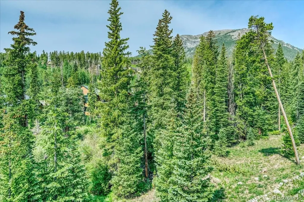 91399 Ryan Gulch Road Silverthorne CO 80498