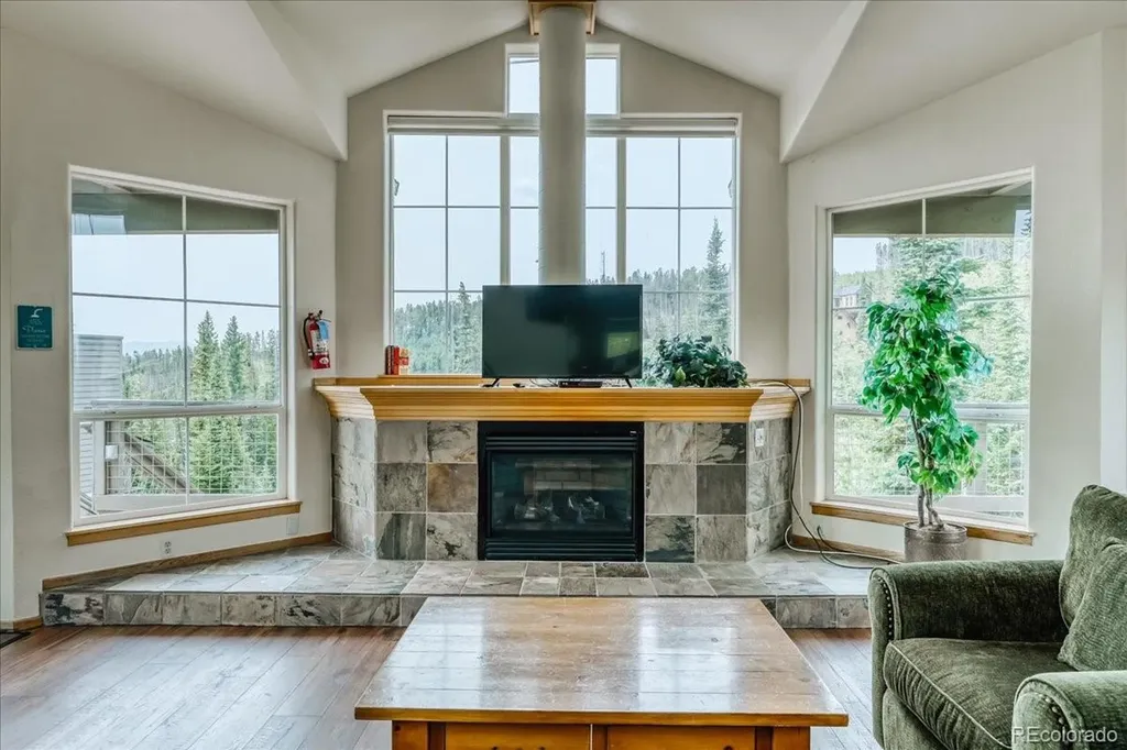 91399 Ryan Gulch Road Silverthorne CO 80498