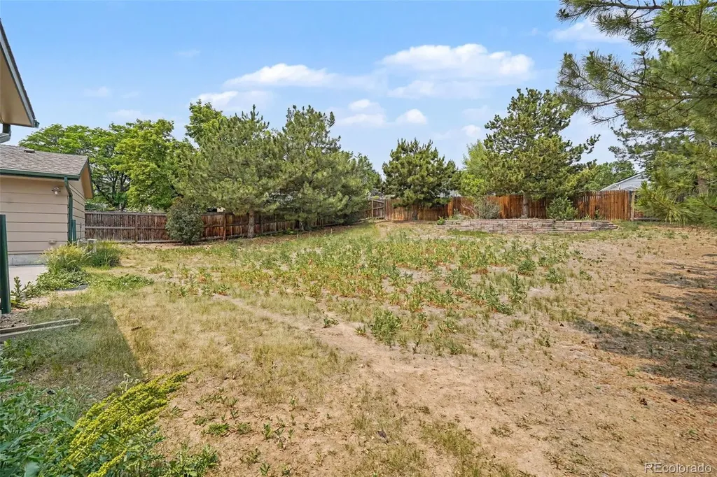 435 Dione Place Lone Tree CO 80124