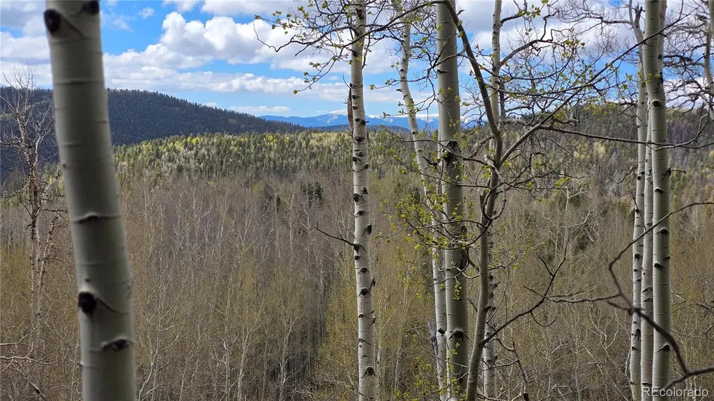 Lot 5897 Slegers Road Fort Garland CO 81133