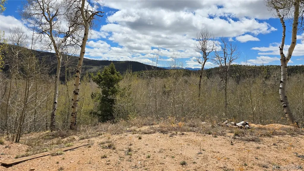 Lot 5897 Slegers Road Fort Garland CO 81133