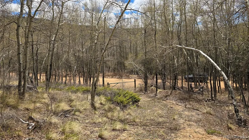Lot 5897 Slegers Road Fort Garland CO 81133
