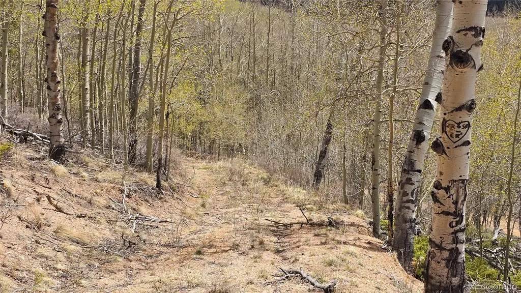 Lot 5897 Slegers Road Fort Garland CO 81133