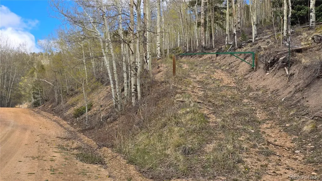 Lot 5897 Slegers Road Fort Garland CO 81133