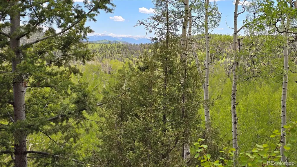 Lot 5897 Slegers Road Fort Garland CO 81133