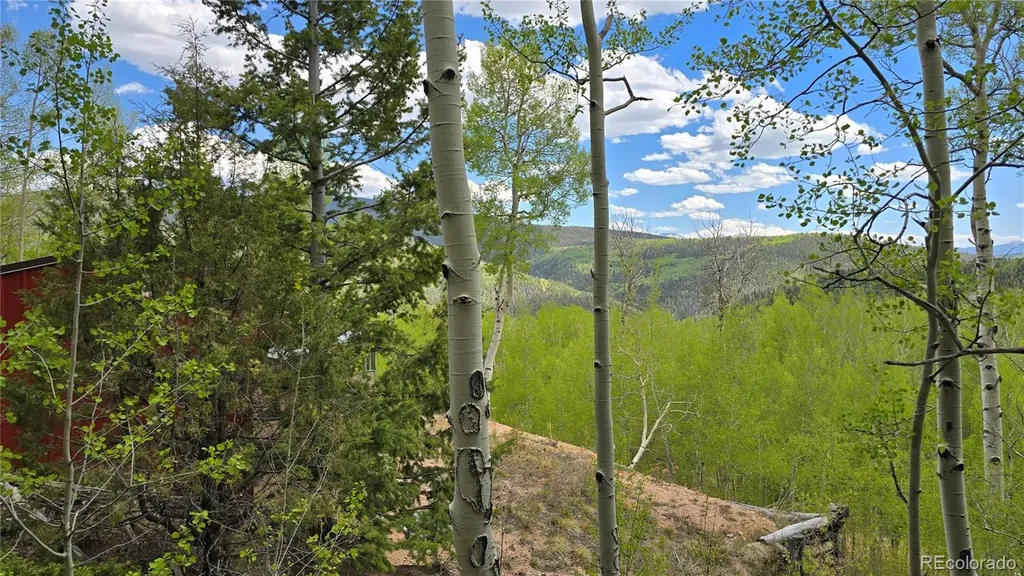 Lot 5897 Slegers Road Fort Garland CO 81133