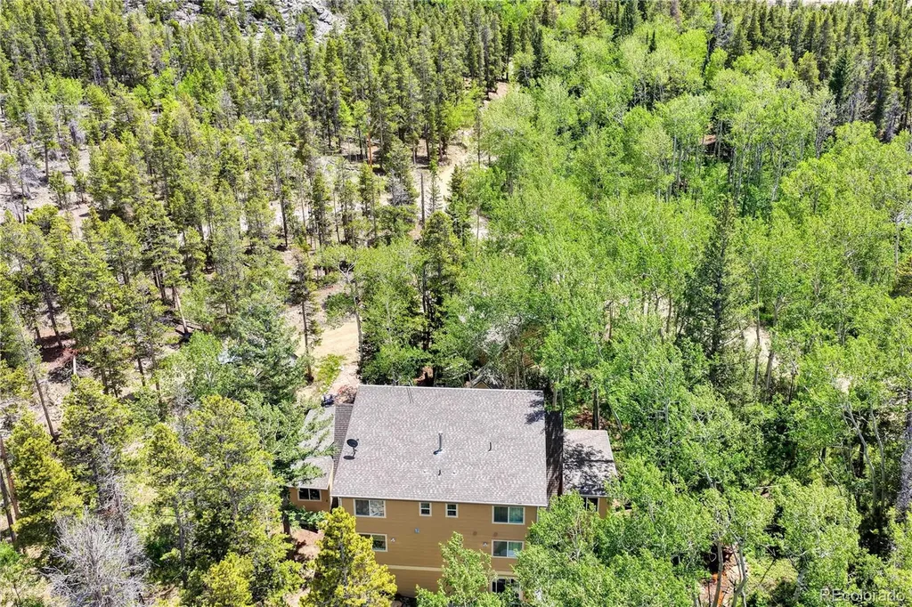 983 Wedgwood Road Black Hawk CO 80422