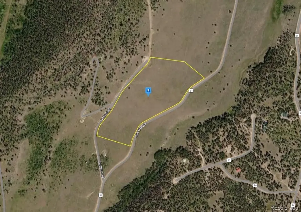 220 Gothic Trail Powderhorn CO 81243