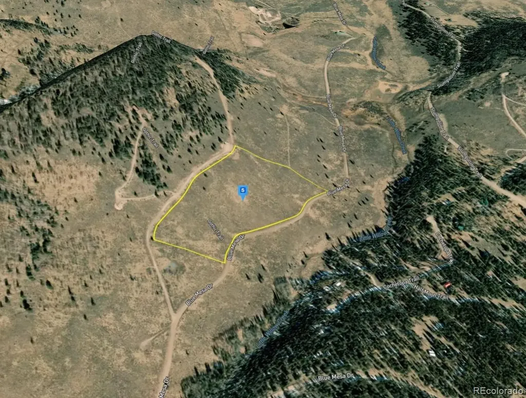 220 Gothic Trail Powderhorn CO 81243