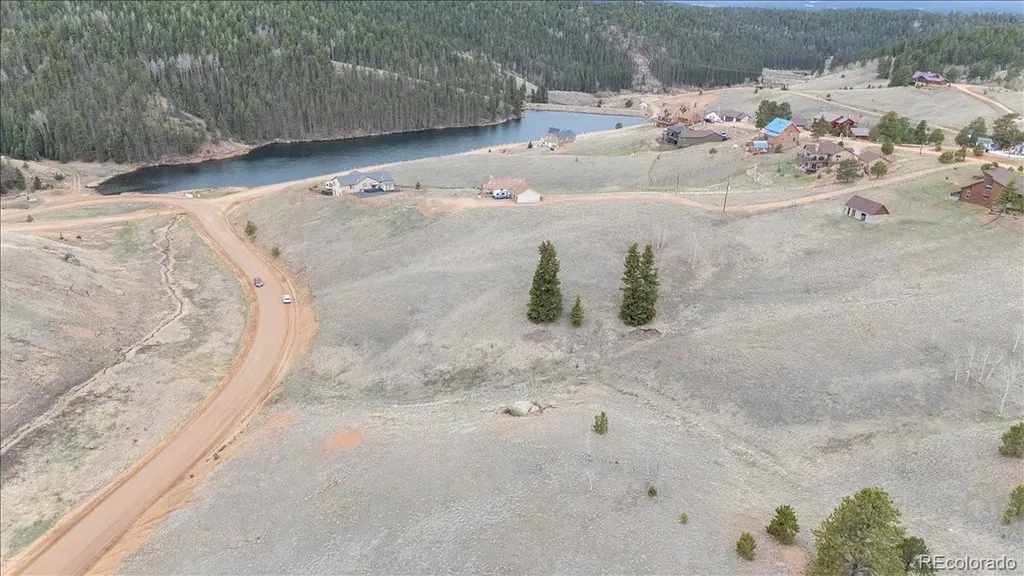 175 Twin Lakes Drive Divide CO 80814