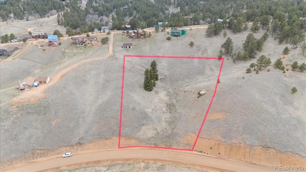 175 Twin Lakes Drive Divide CO 80814