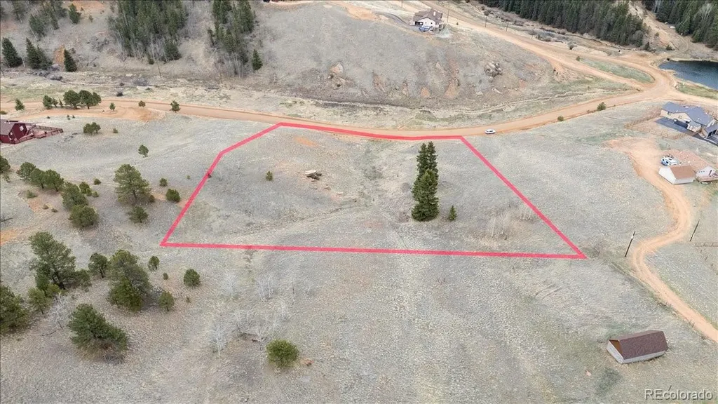 175 Twin Lakes Drive Divide CO 80814