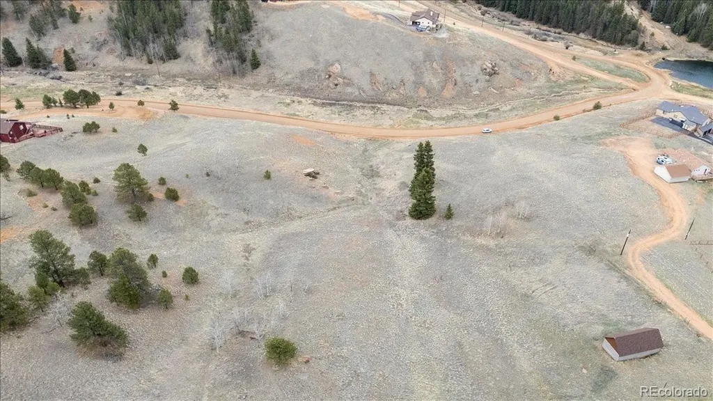 175 Twin Lakes Drive Divide CO 80814