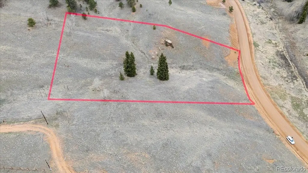 175 Twin Lakes Drive Divide CO 80814