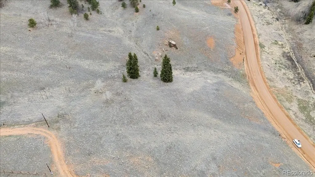 175 Twin Lakes Drive Divide CO 80814