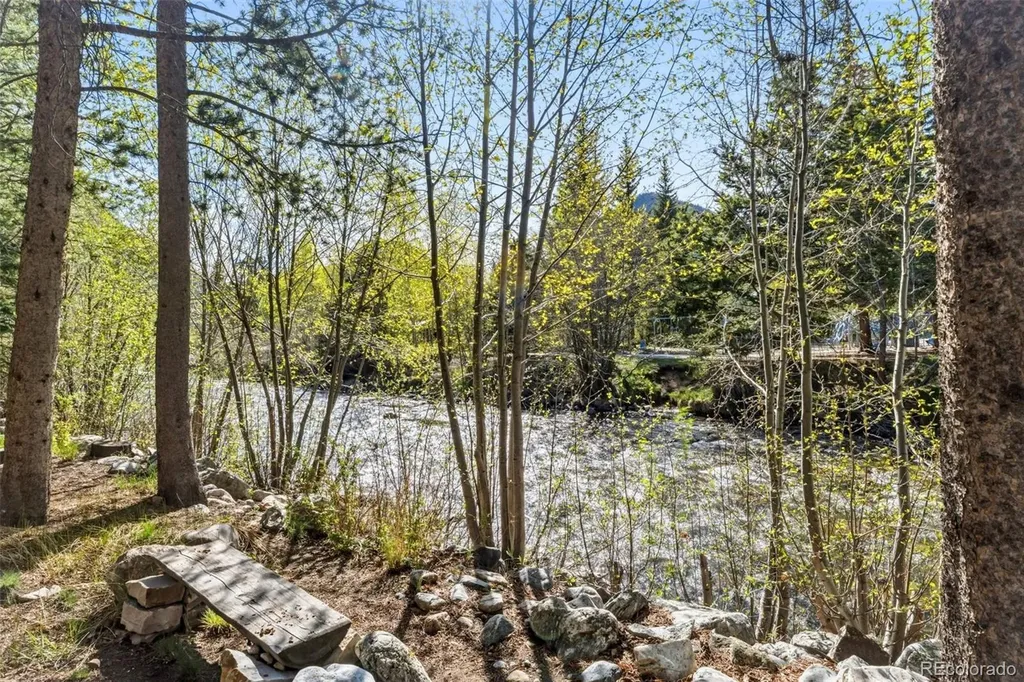 310 N 5th Avenue Frisco CO 80443