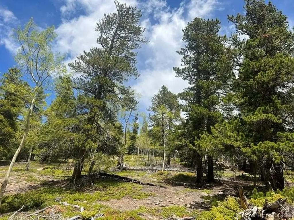001 Sunny Skies Trail Idaho Springs CO 80452