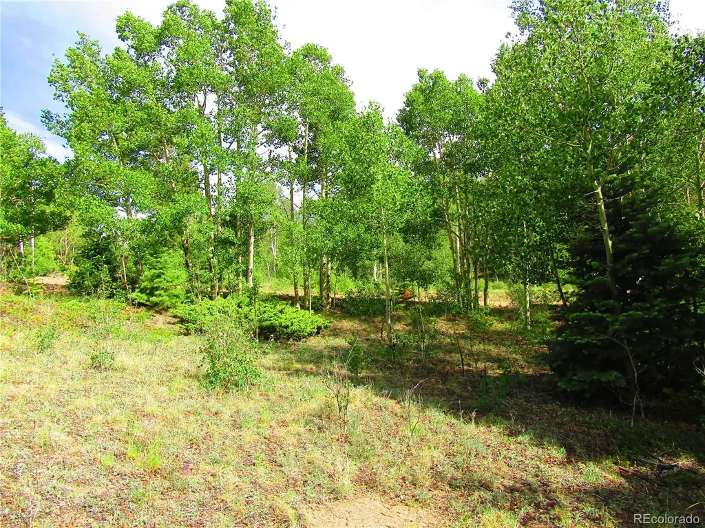 Lot 6093 Forbes Road San Luis CO 81152