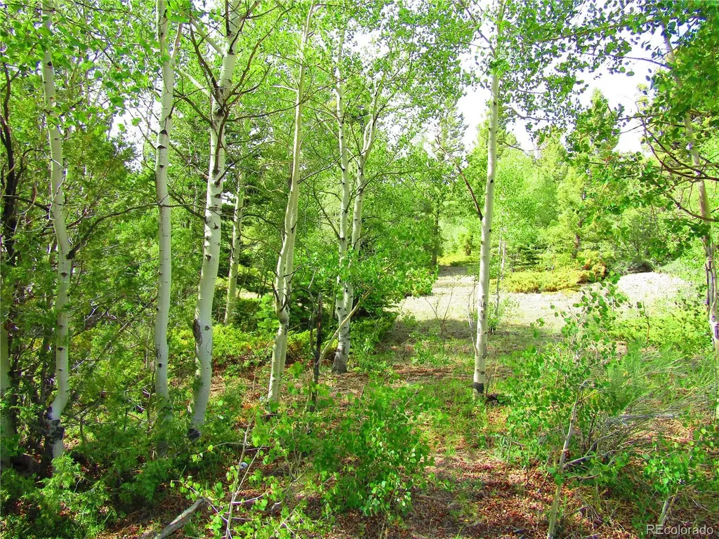 Lot 6093 Forbes Road San Luis CO 81152