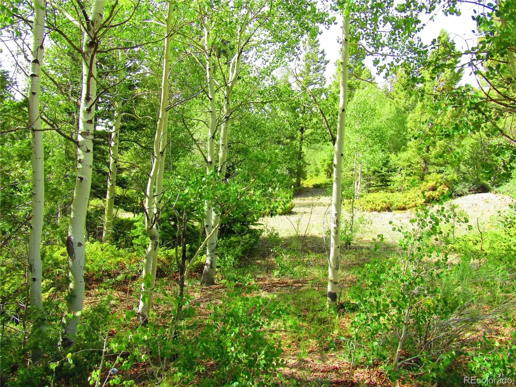 Lot 6093 Forbes Road San Luis CO 81152