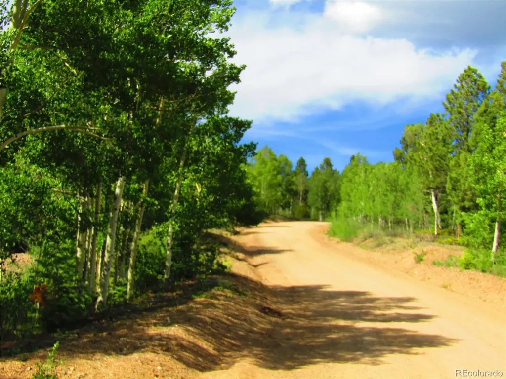 Lot 6093 Forbes Road San Luis CO 81152