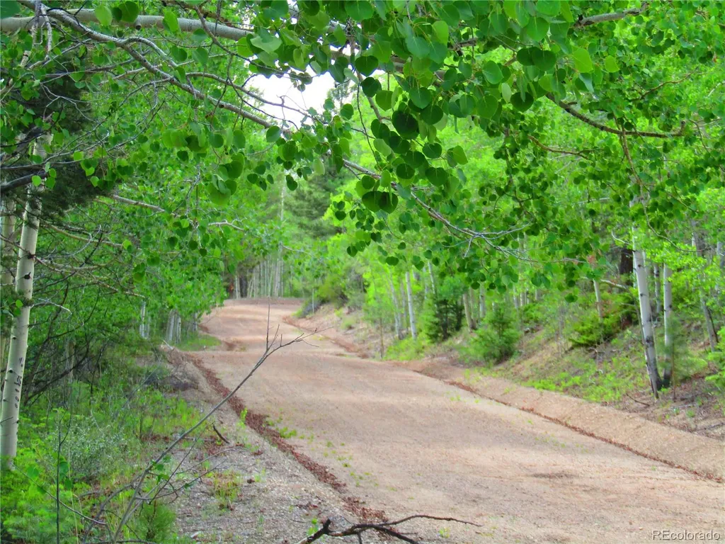 Lot 6093 Forbes Road San Luis CO 81152